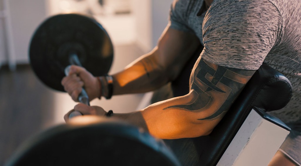 Muscular arms performing the preacher curl
